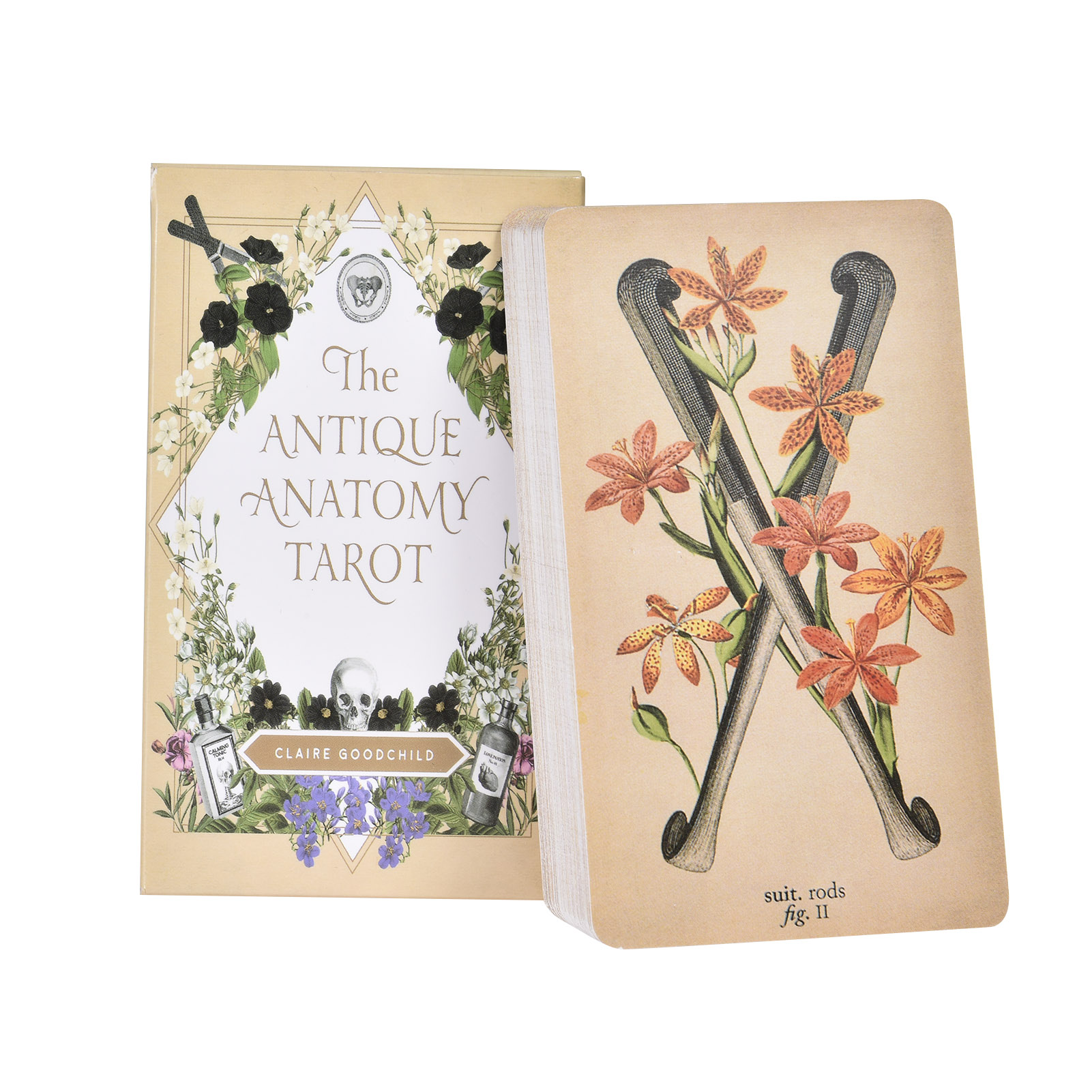Board Game Oracle - Karty Tarota „Antyczna Anatomia” – wersja